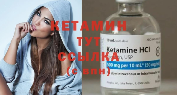 сатива Армянск