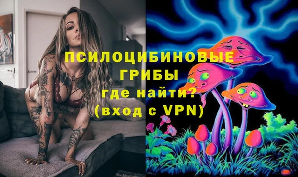 сатива Армянск
