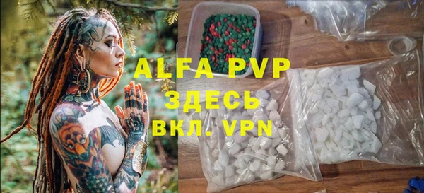 сатива Армянск