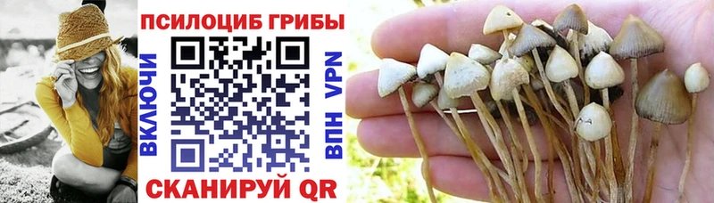 Галлюциногенные грибы Psilocybe  shop состав  Изобильный  наркошоп 